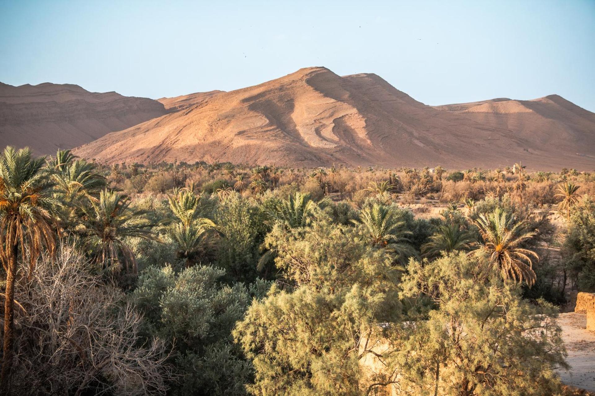 Oasis Travel Bed and Breakfast Tazouka Buitenkant foto