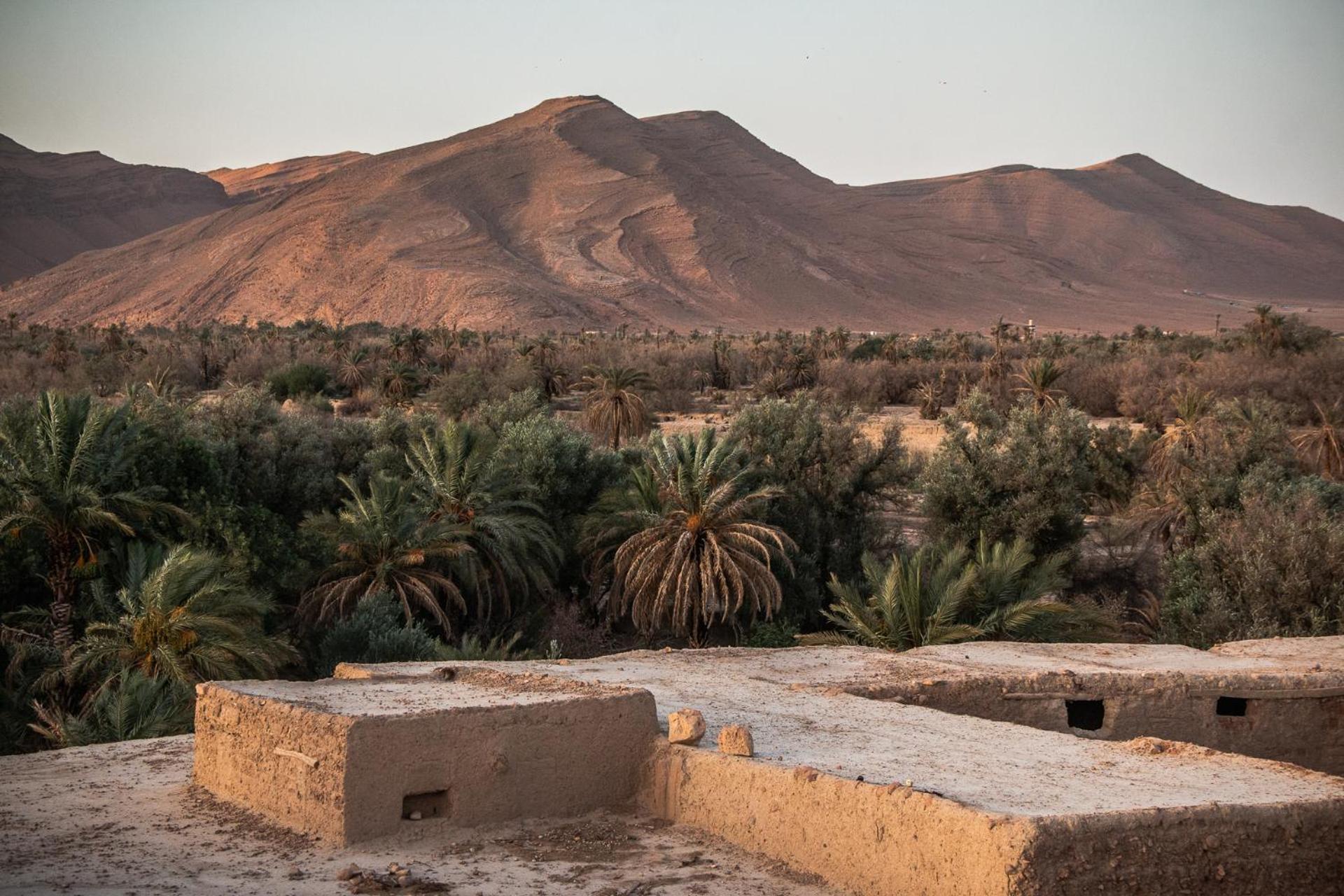 Oasis Travel Bed and Breakfast Tazouka Buitenkant foto